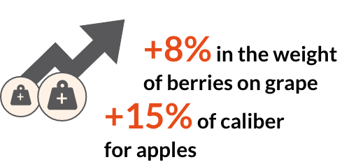 Moka yield data