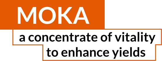 MOKA, a concentrate of vitality to enhance yields