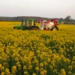 Sécurisez vos rendements en grandes cultures grâce à Smartfoil