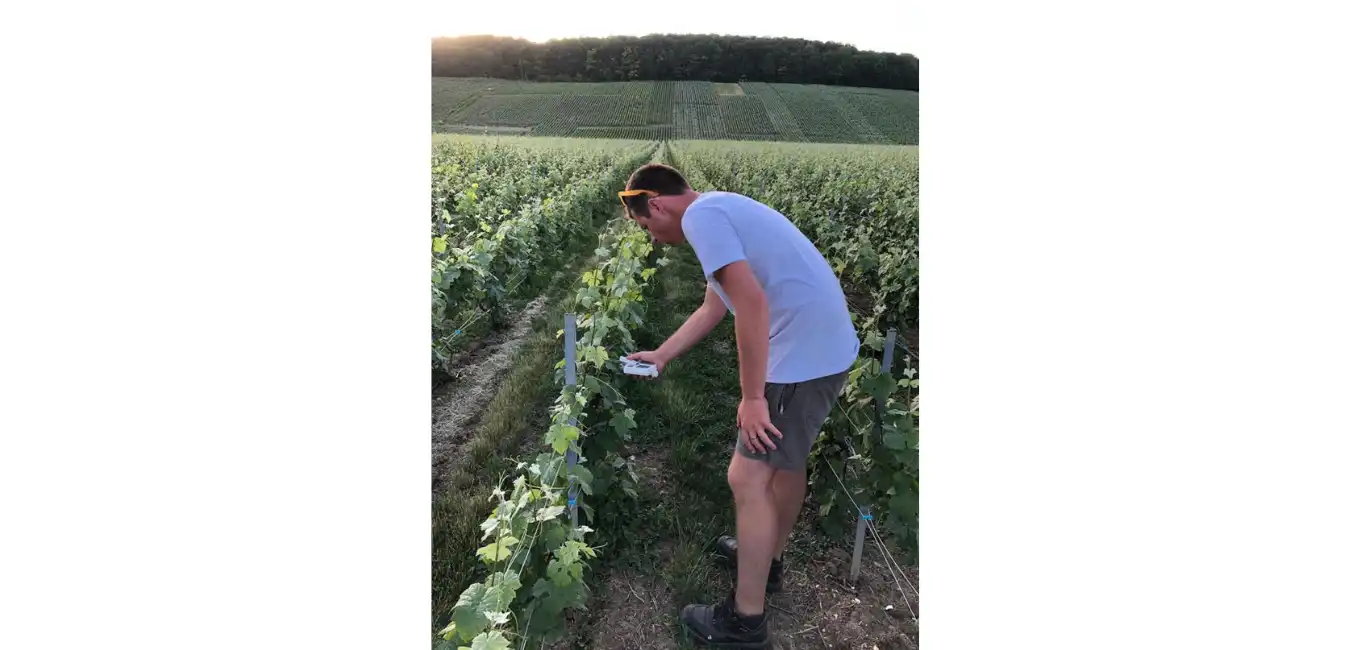 Moka® intervient également sur l’activité photosynthétique des plantes