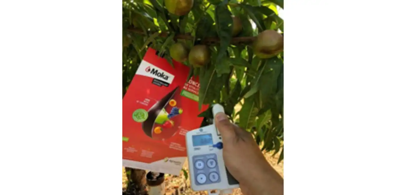 Une quinzaine d’essais sont également en cours un peu partout en France